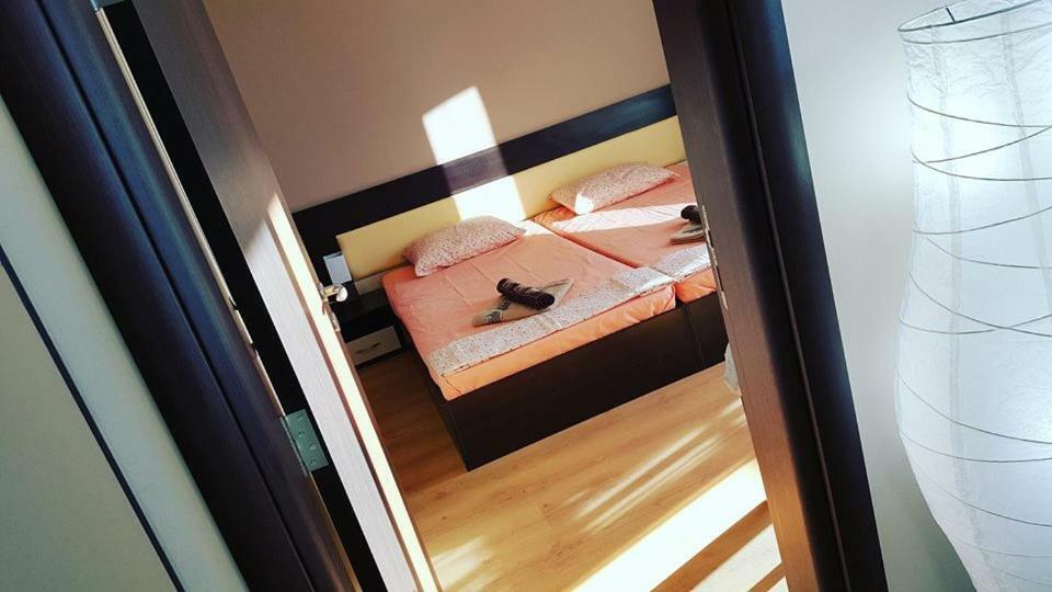 Апартамент Cacao Residence Sunny Beach Exterior foto
